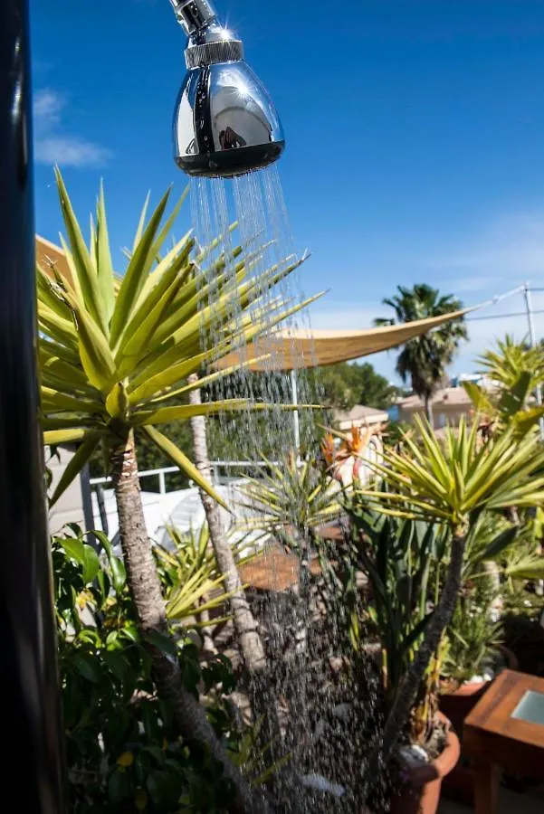 Beach Inn Apartment 알쿠디아 스페인